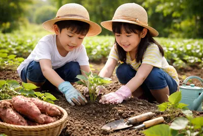 小学生向け！さつまいもの育て方入門